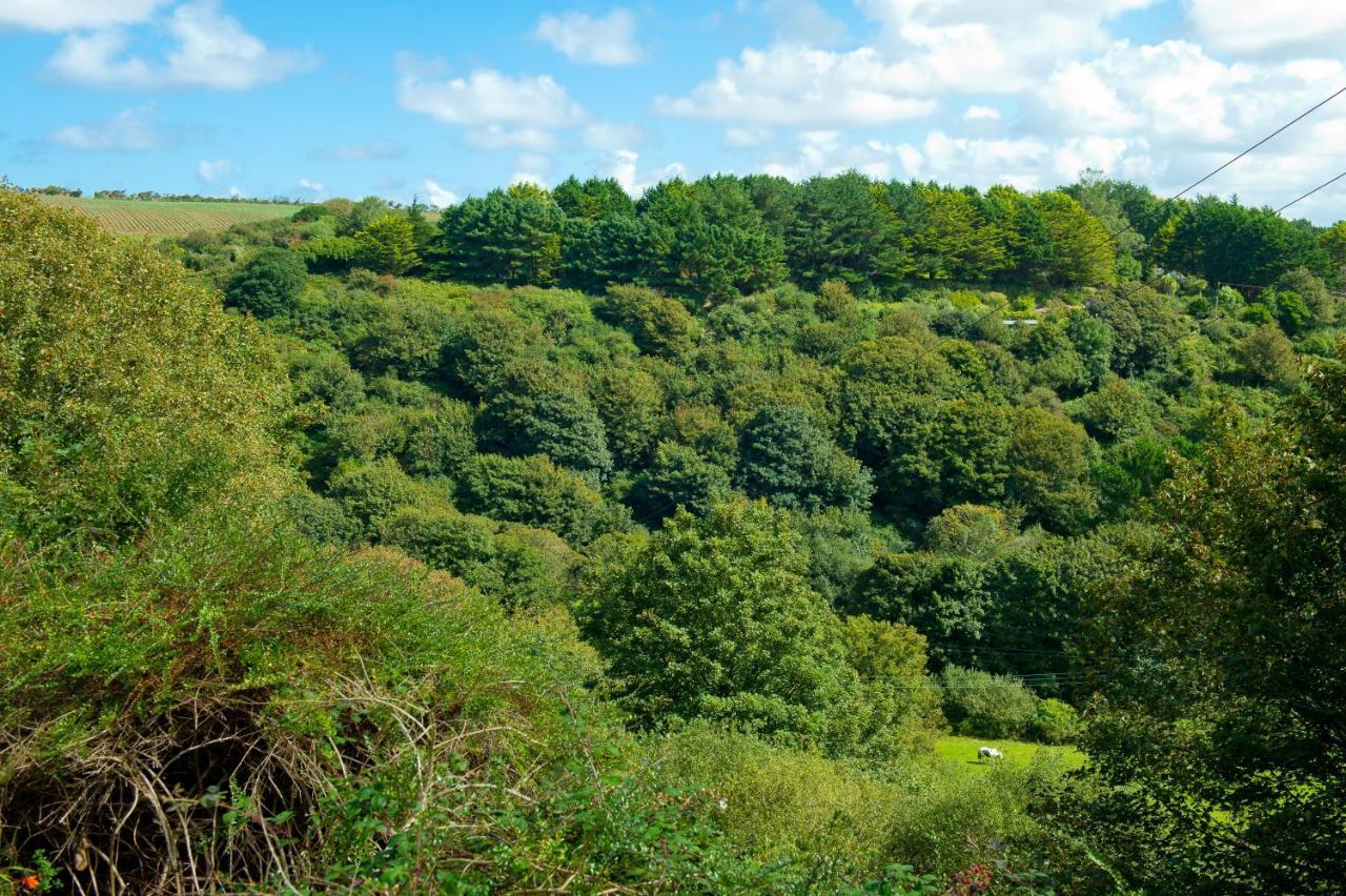 Hillside *